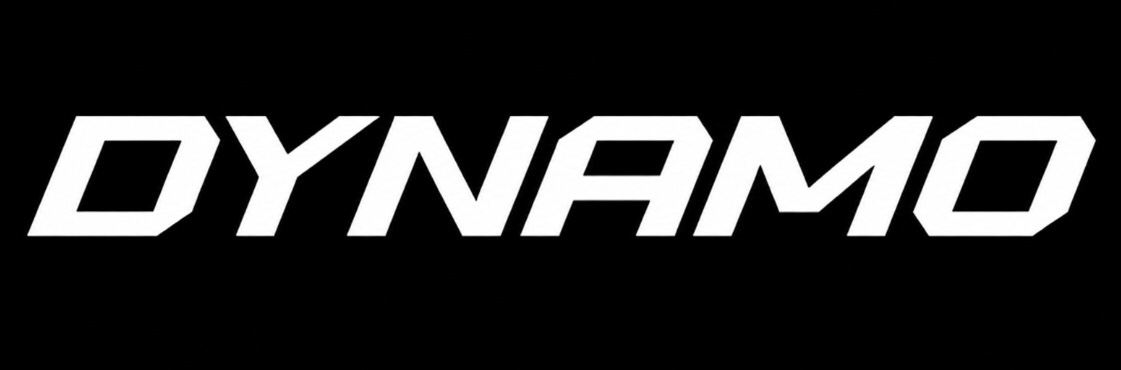 Digital Marketing Services 4 DYNAMO White logo.jpg