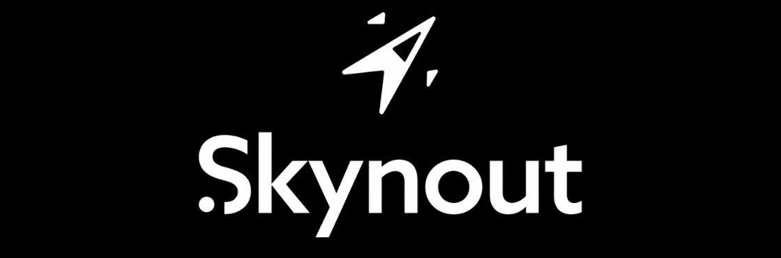 Digital Marketing Services 11 Skynout white logo.JPG